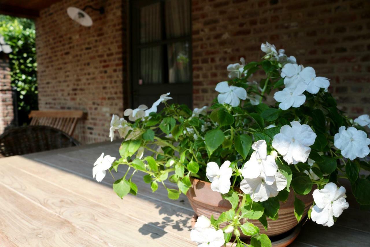 Hotel Under Oaks Westmalle Exterior foto